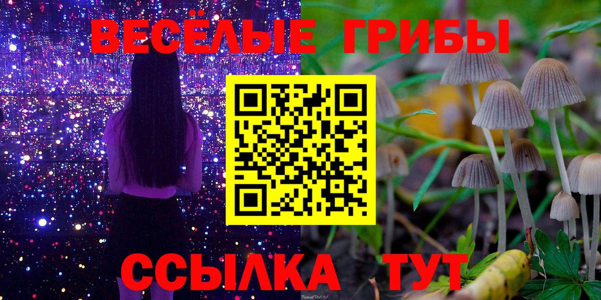 Галлюциногенные грибы прущие грибы Осинники