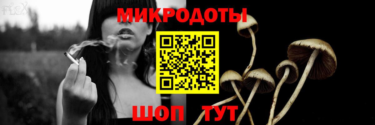 купить  цена  Псилоцибиновые грибы GOLDEN TEACHER  Вход с VPN  Осинники  Галлюциногенные грибы Cubensis 